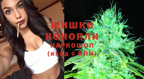 ГАЛЛЮЦИНОГЕННЫЕ ГРИБЫ Заволжск