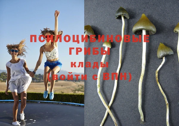 кокаин Гусь-Хрустальный