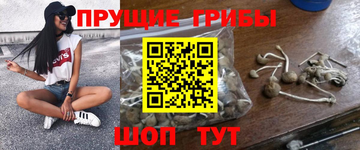 Галлюциногенные грибы прущие грибы Заринск