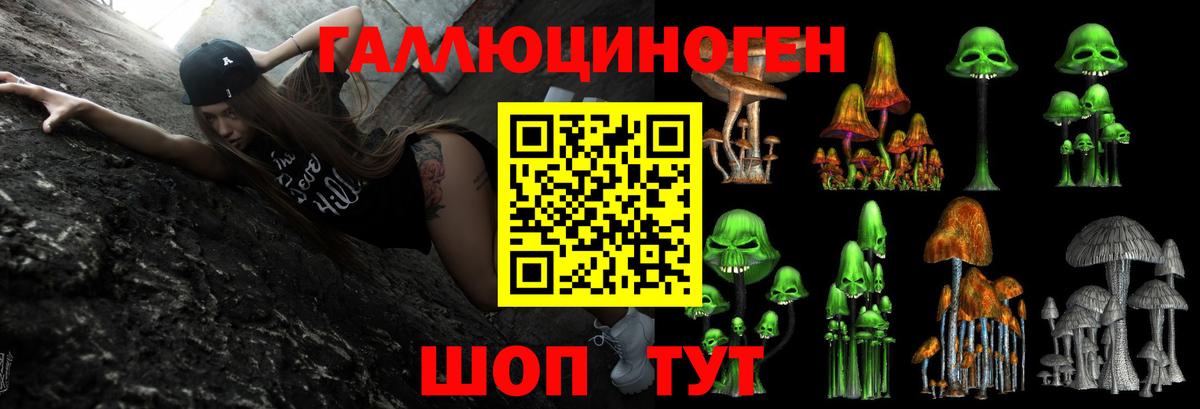 Псилоцибиновые грибы ЛСД  Псилоцибиновые грибы прущие грибы  Заринск  Вход с VPN 